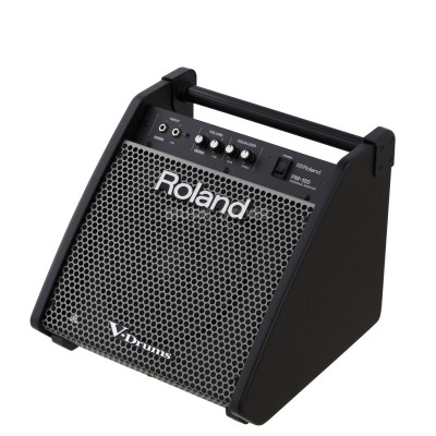 Сценический монитор ROLAND PM-100
